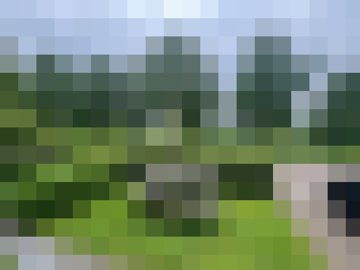 Image 68