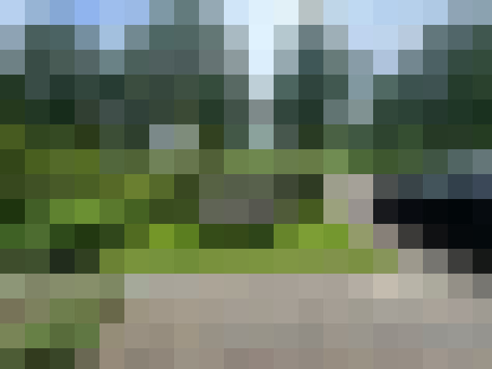 Image 69