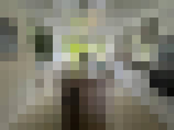 Image 16