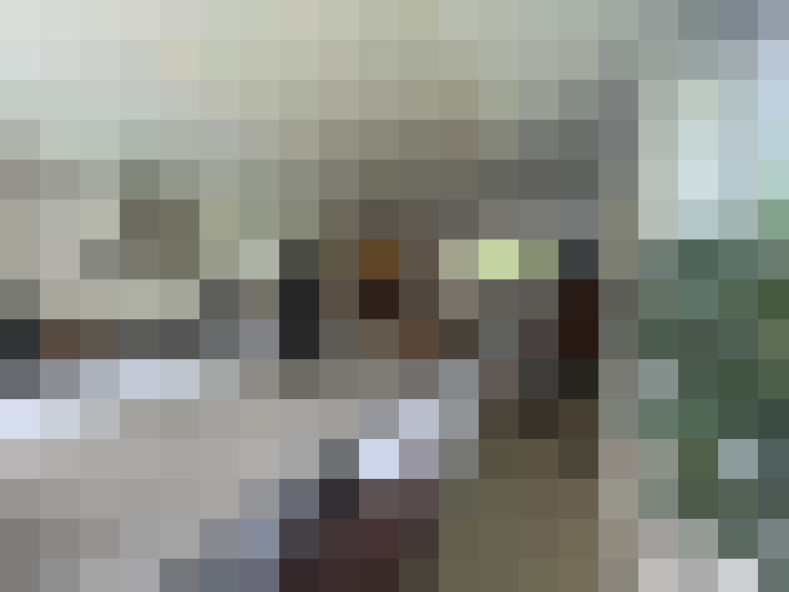Image 20