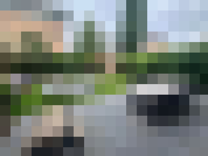 Image 60