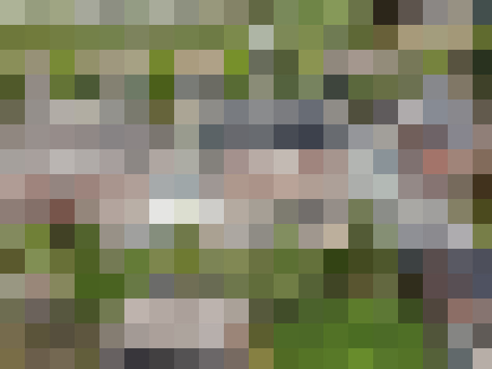 Image 34