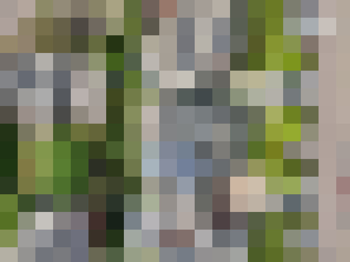 Image 35