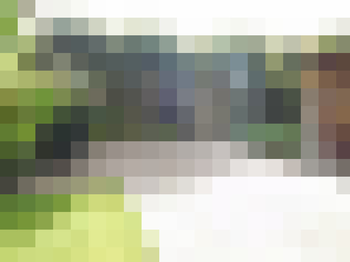 Image 35