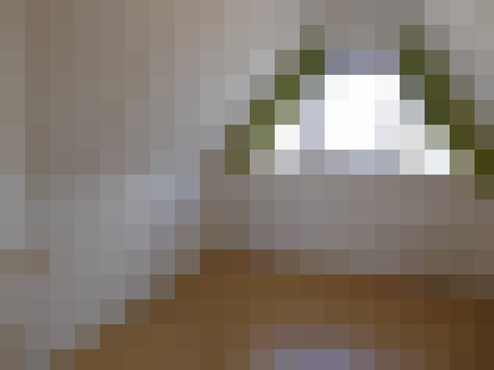 Image 29