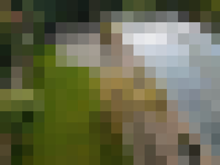 Image 34