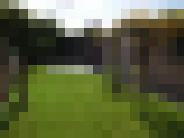 Image 33