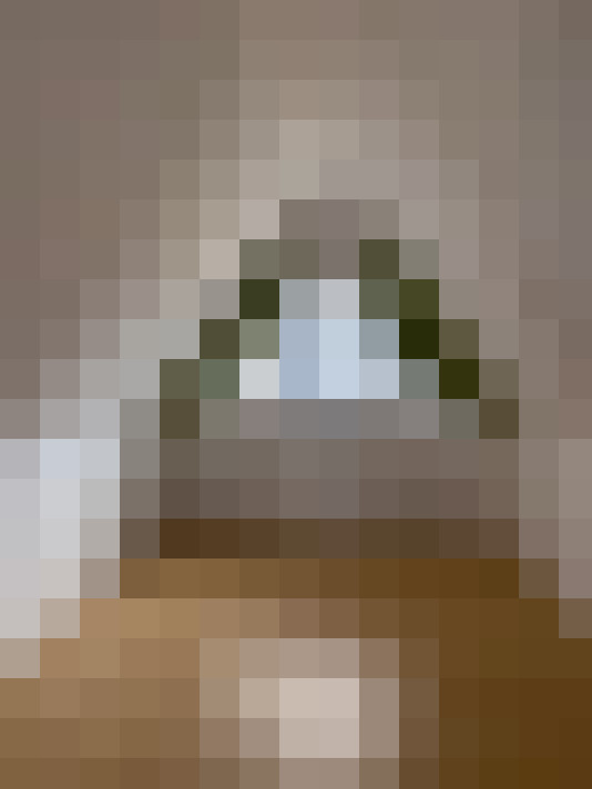 Image 17