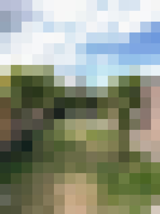 Image 24