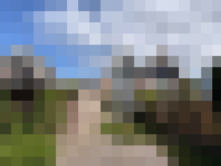 Image 22