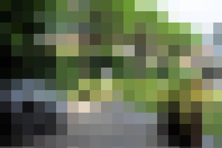 Image 14
