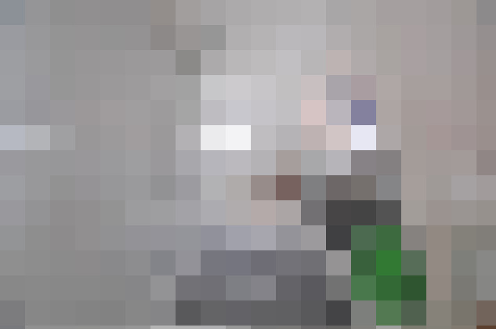Image 28
