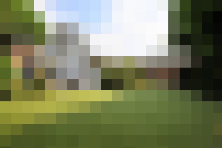 Image 15