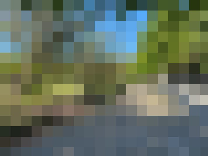 Image 21