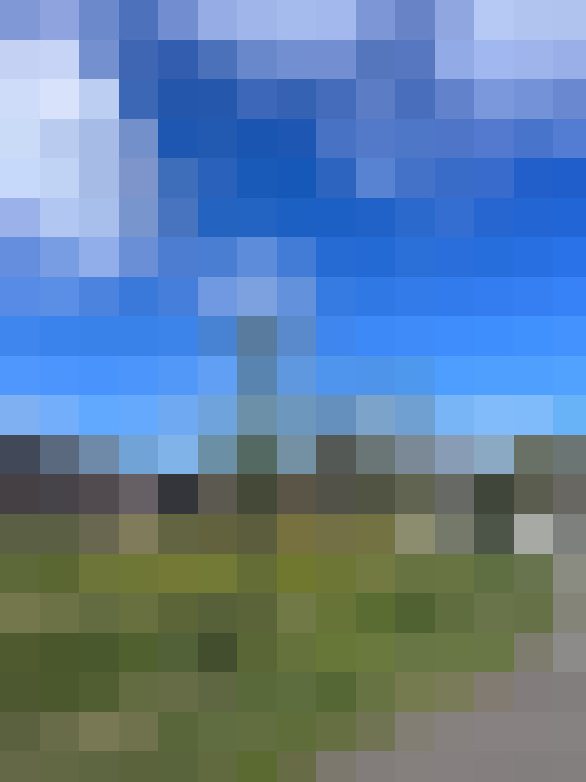 Image 23