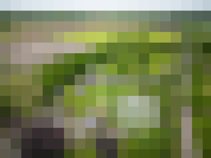 Image 28