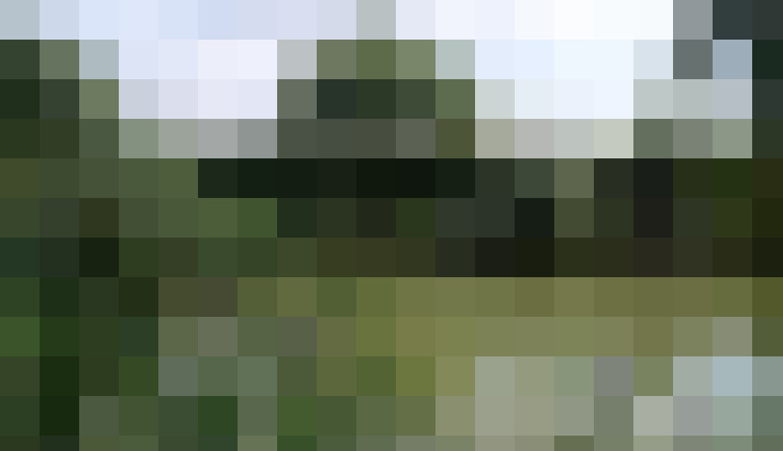 Image 25