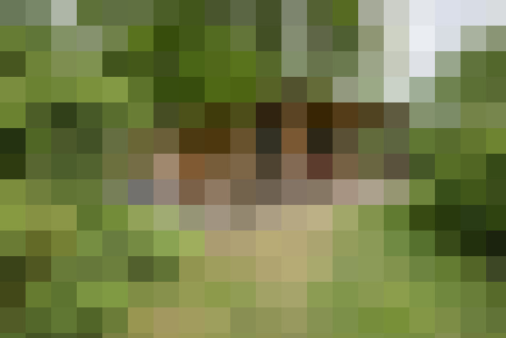 Image 31