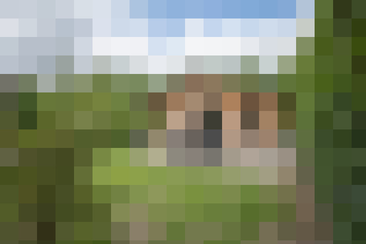 Image 34
