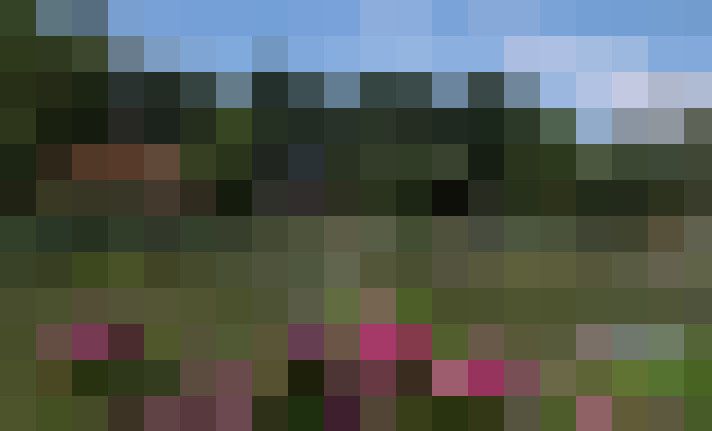 Image 23