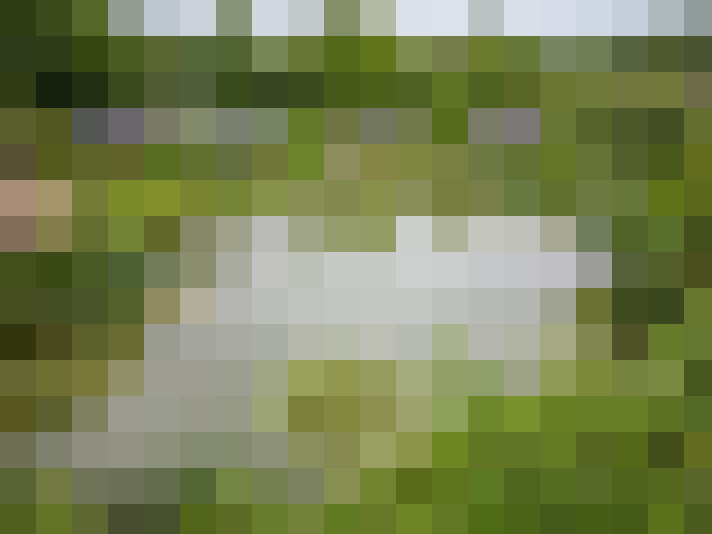 Image 29