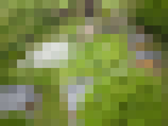 Image 30