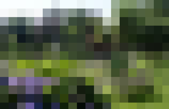 Image 24
