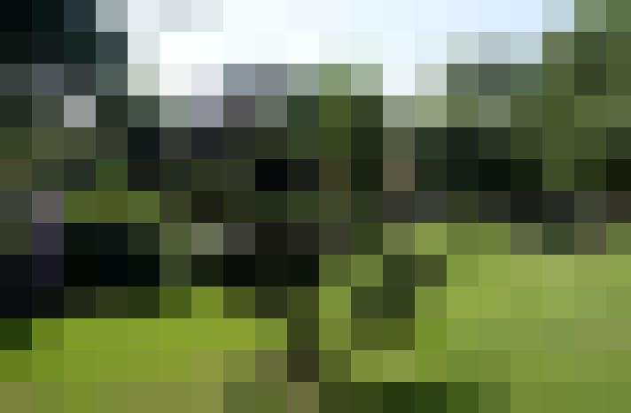 Image 26