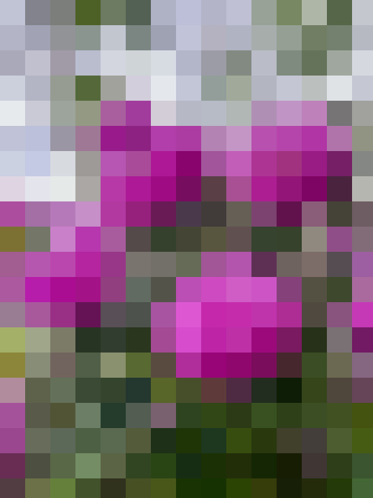 Image 44