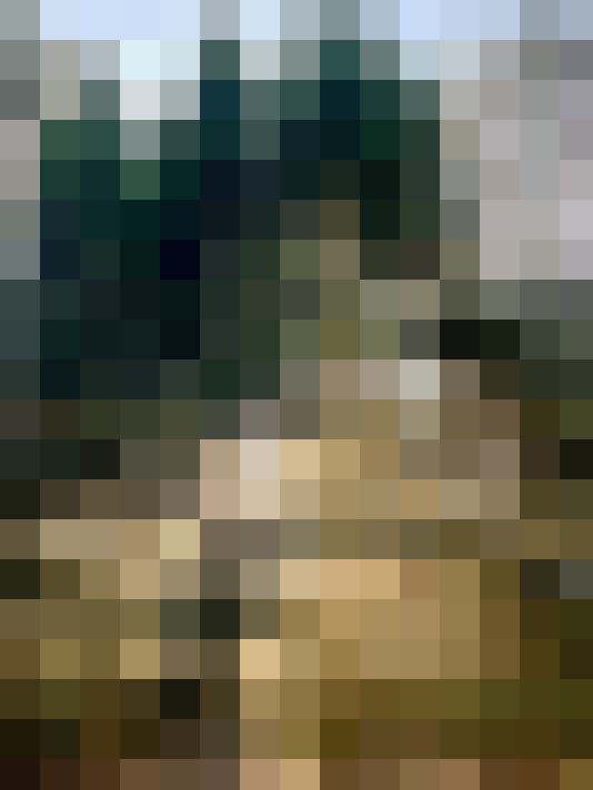 Image 43