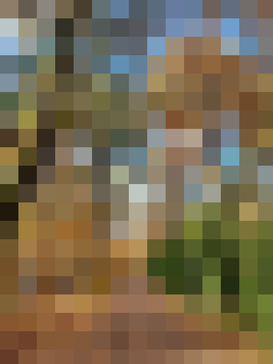 Image 42