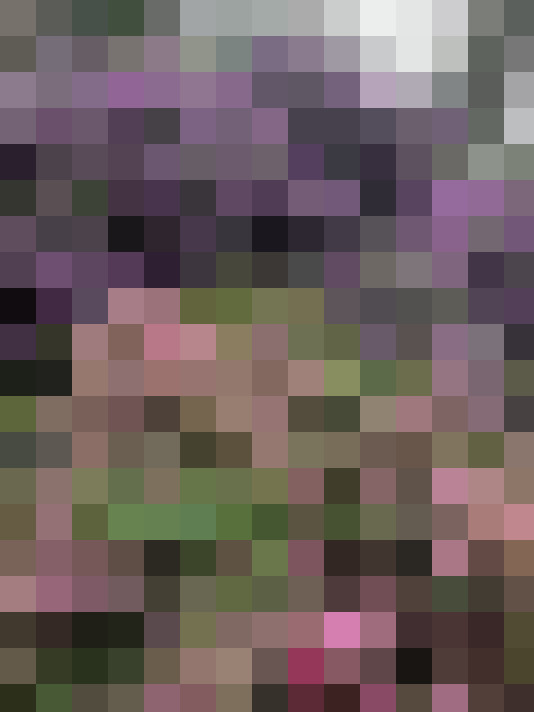 Image 45