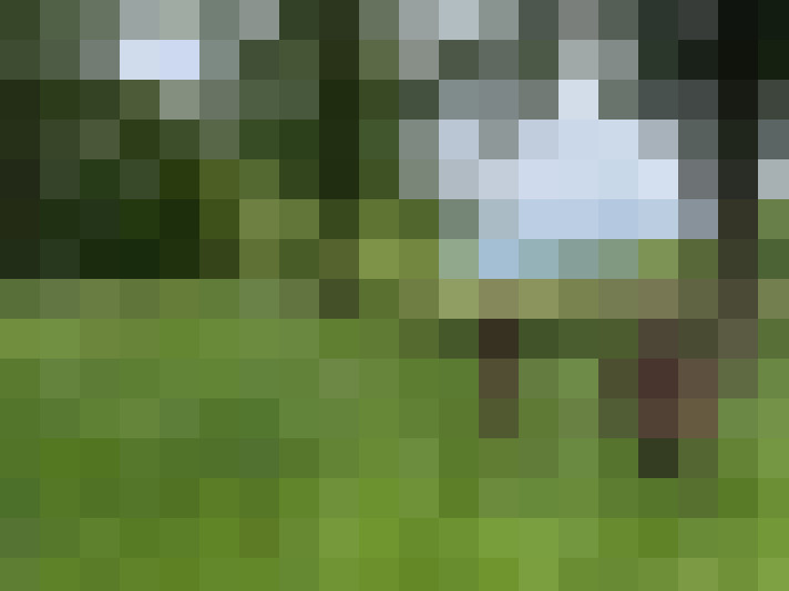Image 53