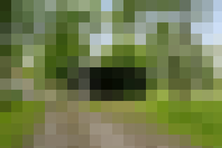 Image 45