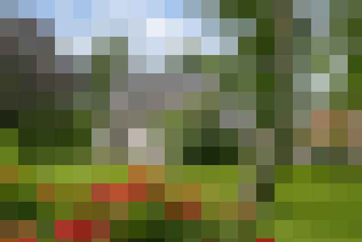 Image 43