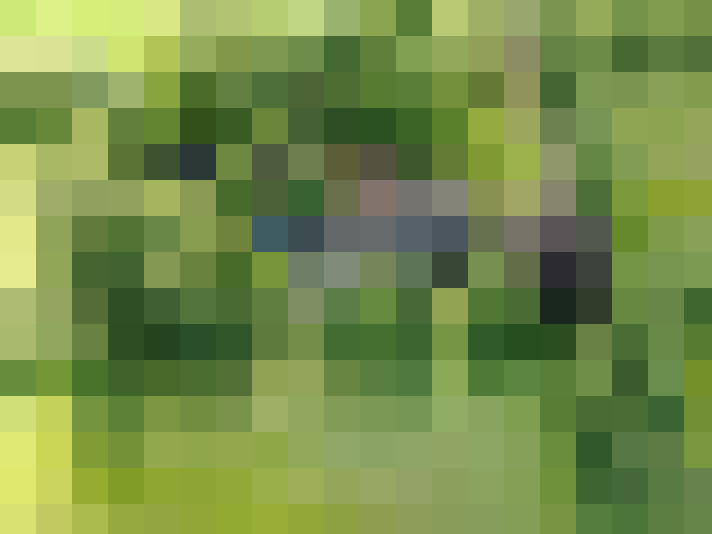 Image 49