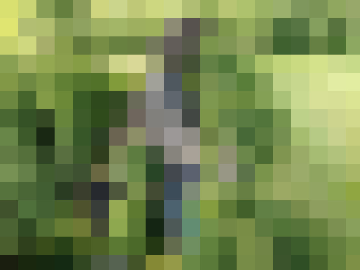 Image 46