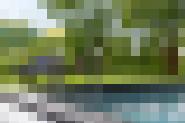 Image 33