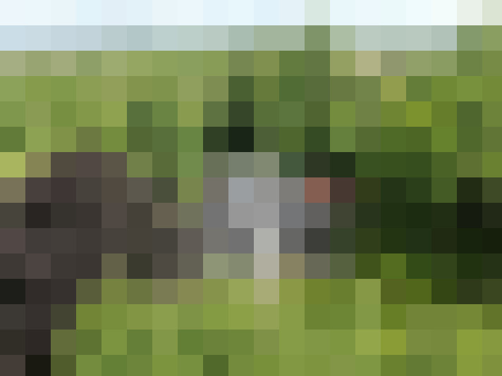 Image 56