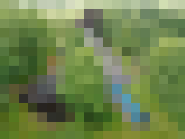 Image 52