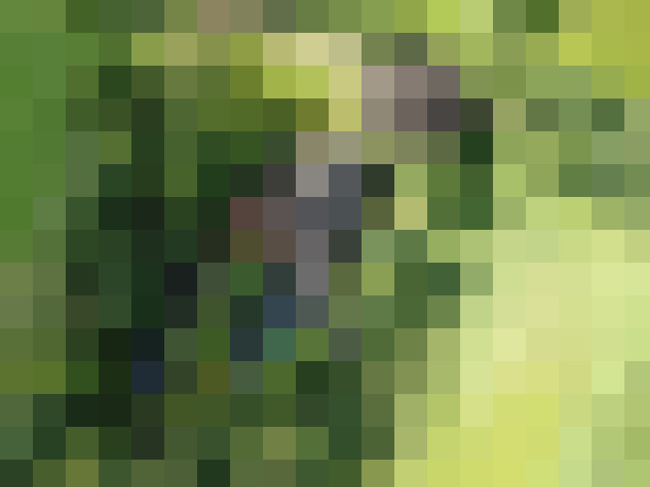 Image 48