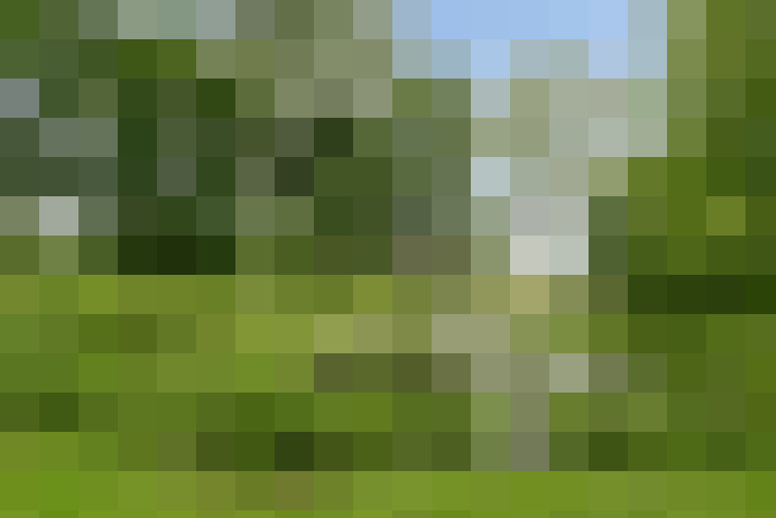 Image 47