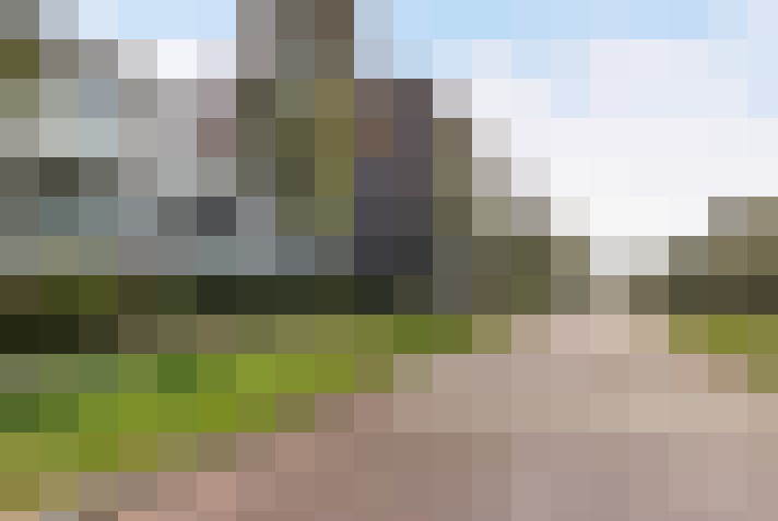Image 22