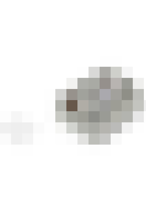 Image 42