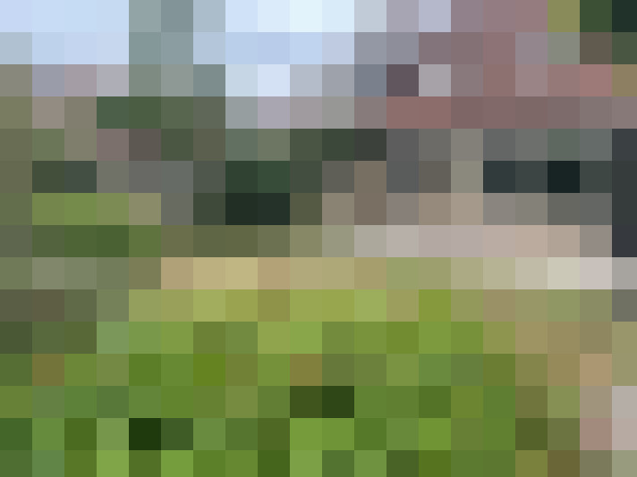 Image 34