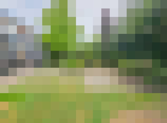 Image 75