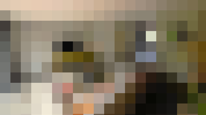Image 29