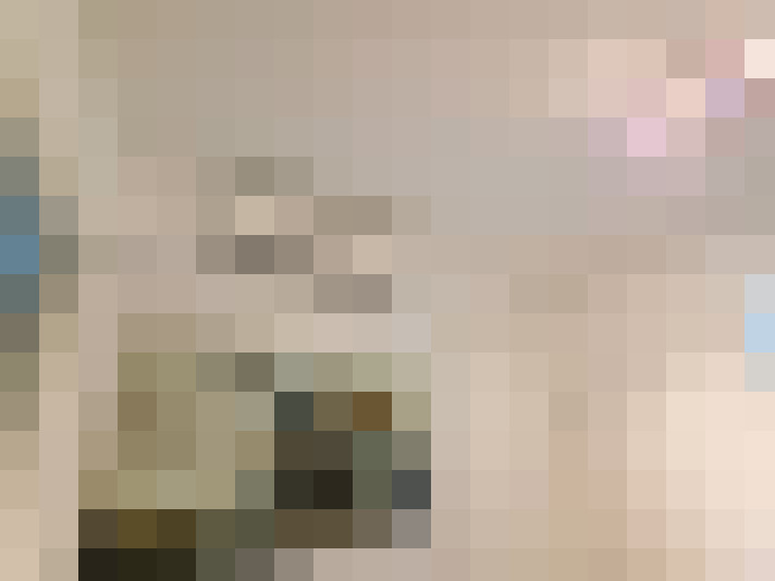 Image 55