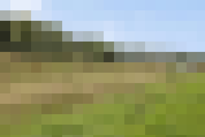 Image 17