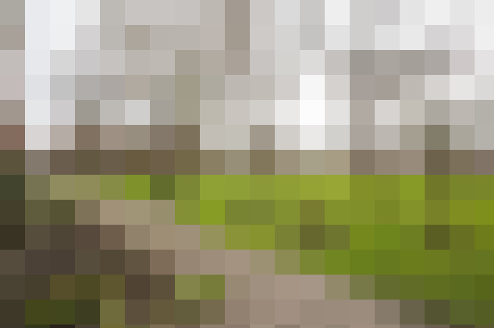 Image 16